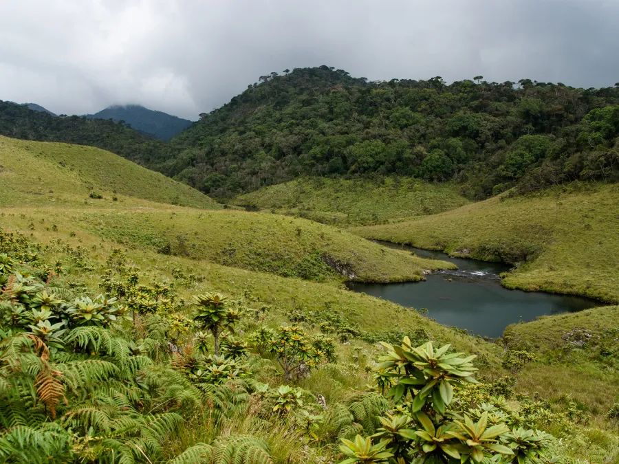 Horton Plains